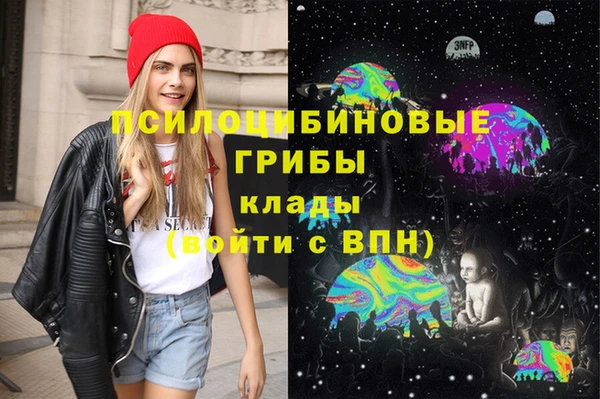тгк Наволоки