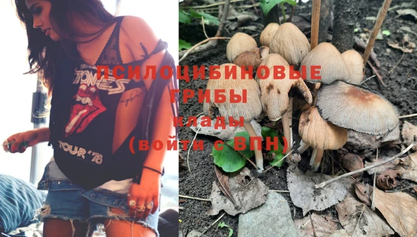 2c-b Нефтекумск
