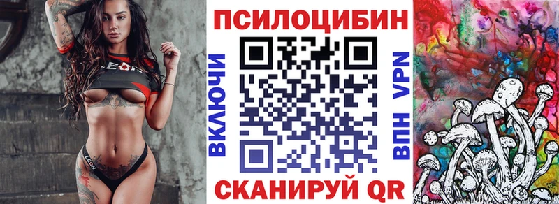 закладка  Нариманов  Псилоцибиновые грибы ЛСД 